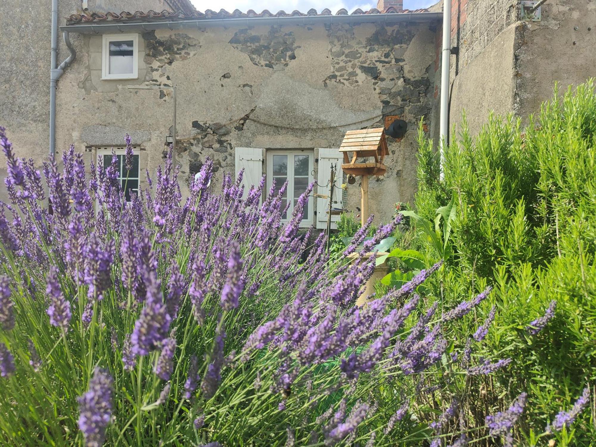 Wisteria House Bed & Breakfast Chanteloup  Luaran gambar