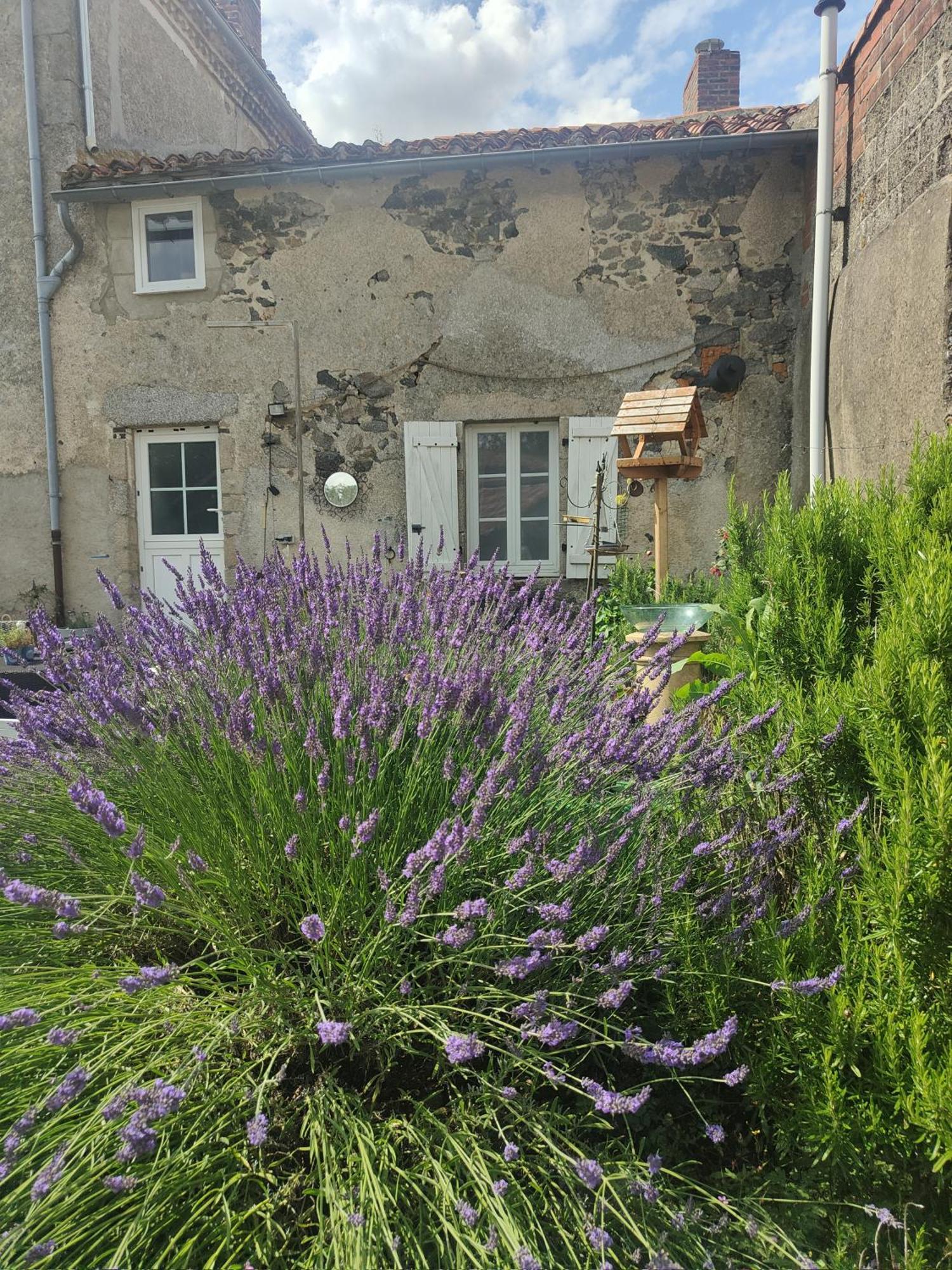 Wisteria House Bed & Breakfast Chanteloup  Luaran gambar