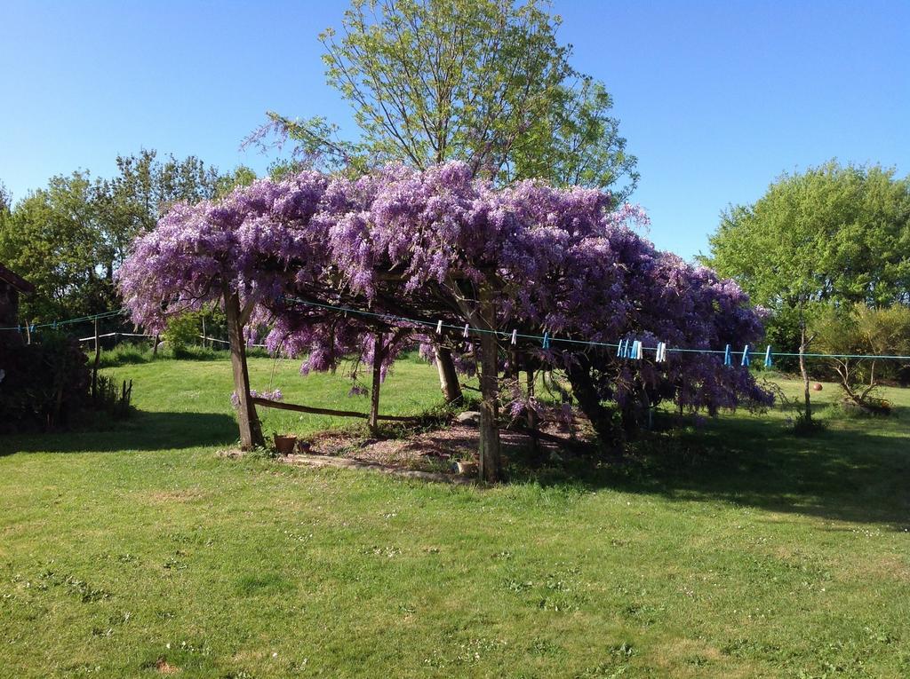 Wisteria House Bed & Breakfast Chanteloup  Luaran gambar